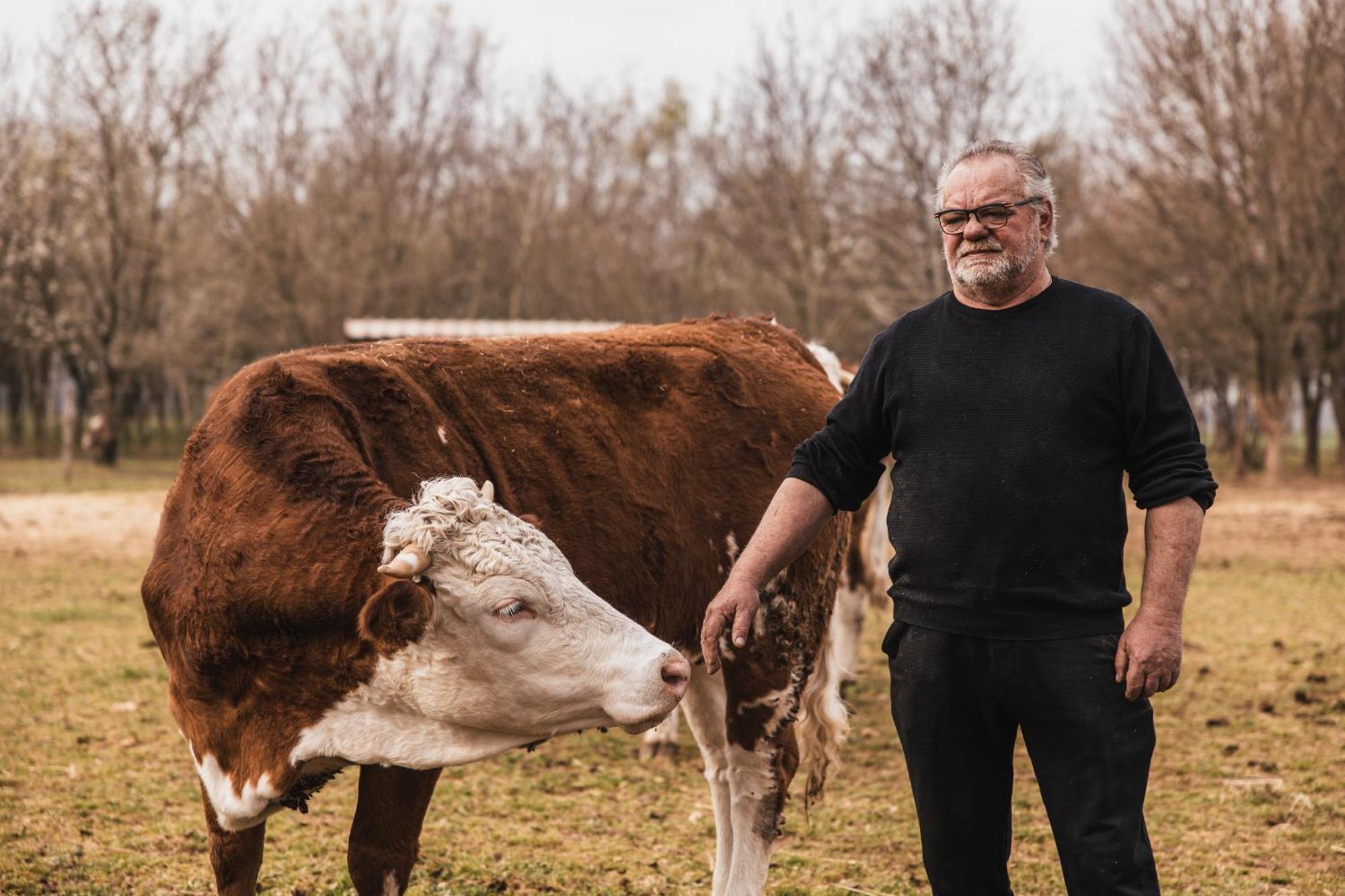 Agriturismo Borg Da Ocjs Medea Dış mekan fotoğraf