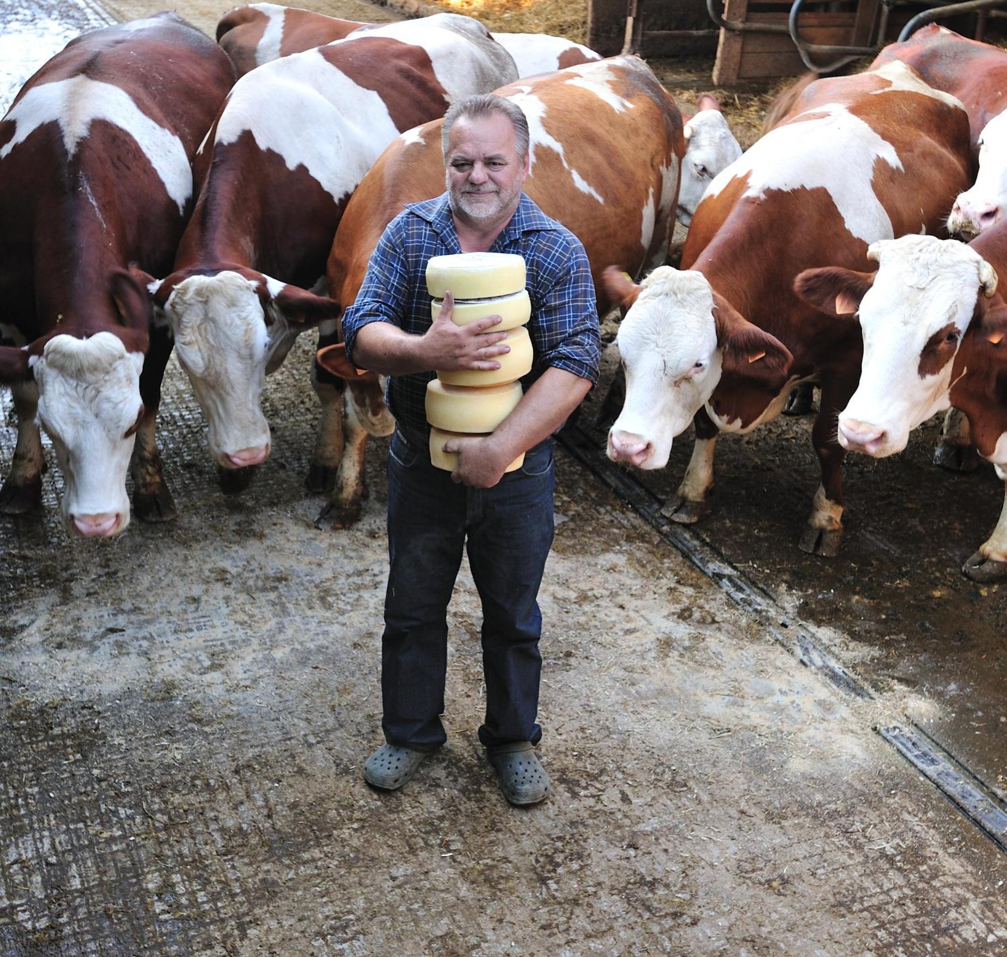 Agriturismo Borg Da Ocjs Medea Dış mekan fotoğraf