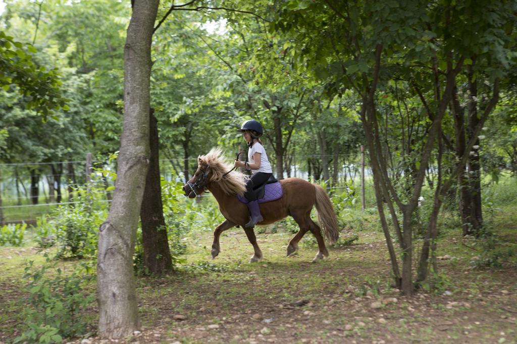 Agriturismo Borg Da Ocjs Medea Dış mekan fotoğraf